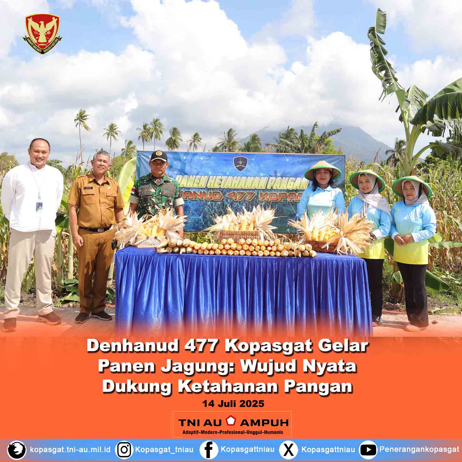 Denhanud 477 Kopasgat Gelar Panen Jagung: Wujud Nyata Dukung Ketahanan Pangan Nasional